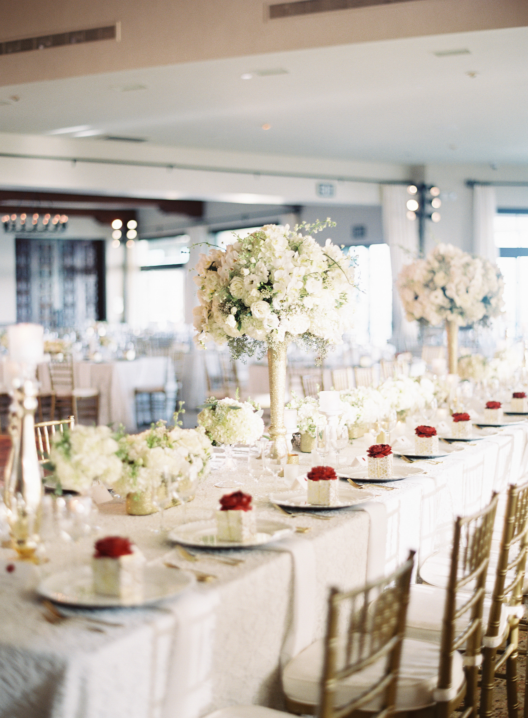 View More: http://photos.pass.us/noelleandjermaine