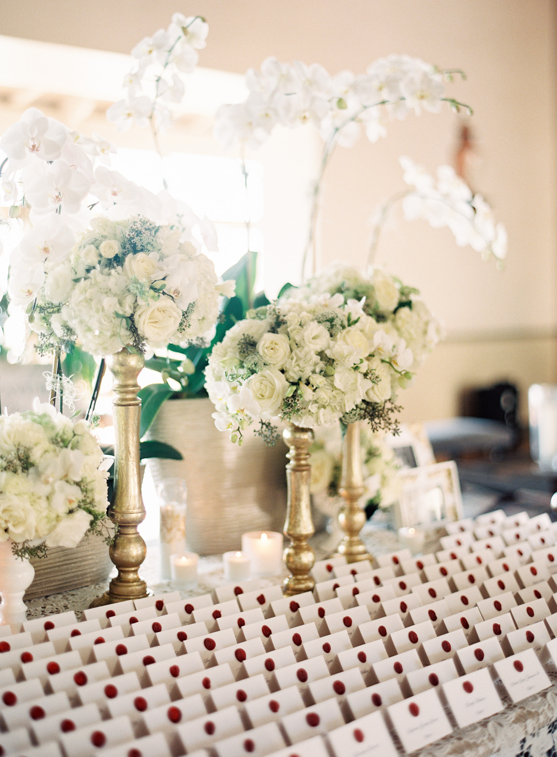 View More: http://photos.pass.us/noelleandjermaine